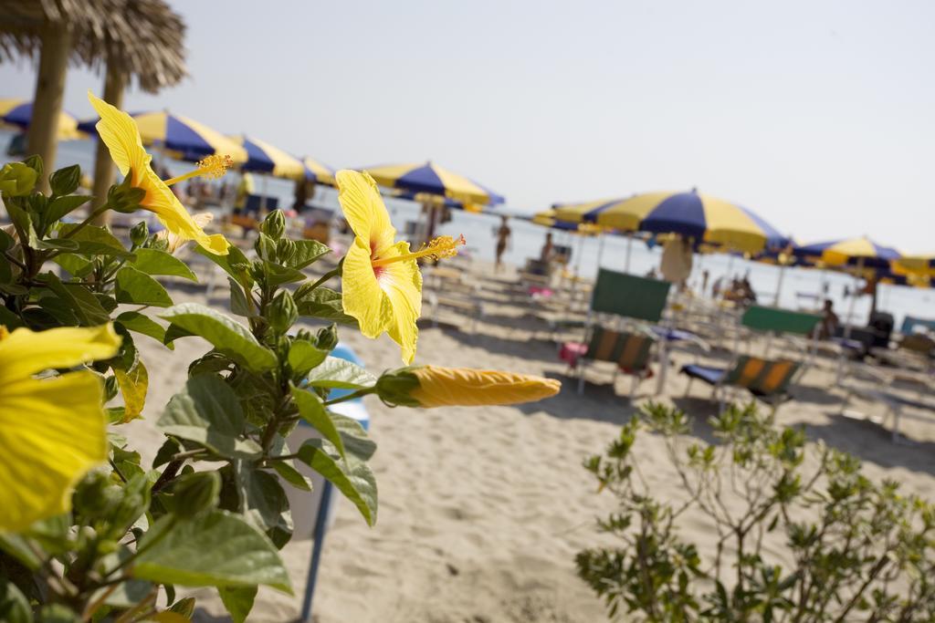 Long Beach Village Residence Sul Mare Spiaggia Privata Inclusa Lido Adriano Dış mekan fotoğraf